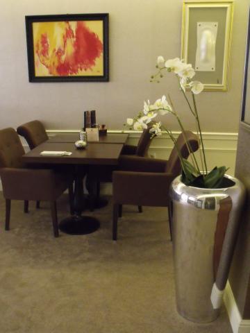 2015 - "Fény éve" című kiállítás - Lobby Café Galéria Szeged